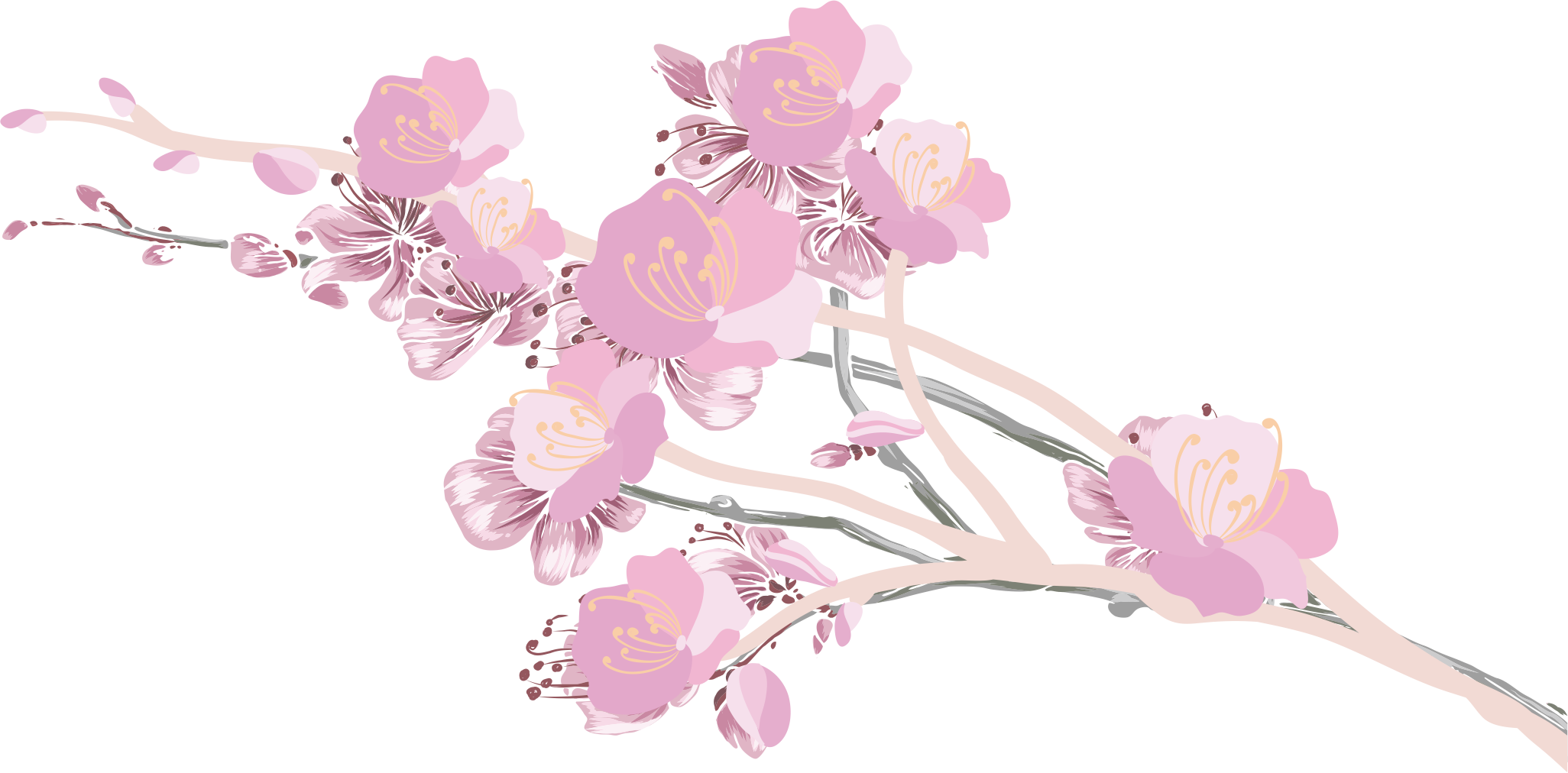 Cherry Blossom Ink Computer File - Cherry Blossom Ink Computer File (2052x1012)