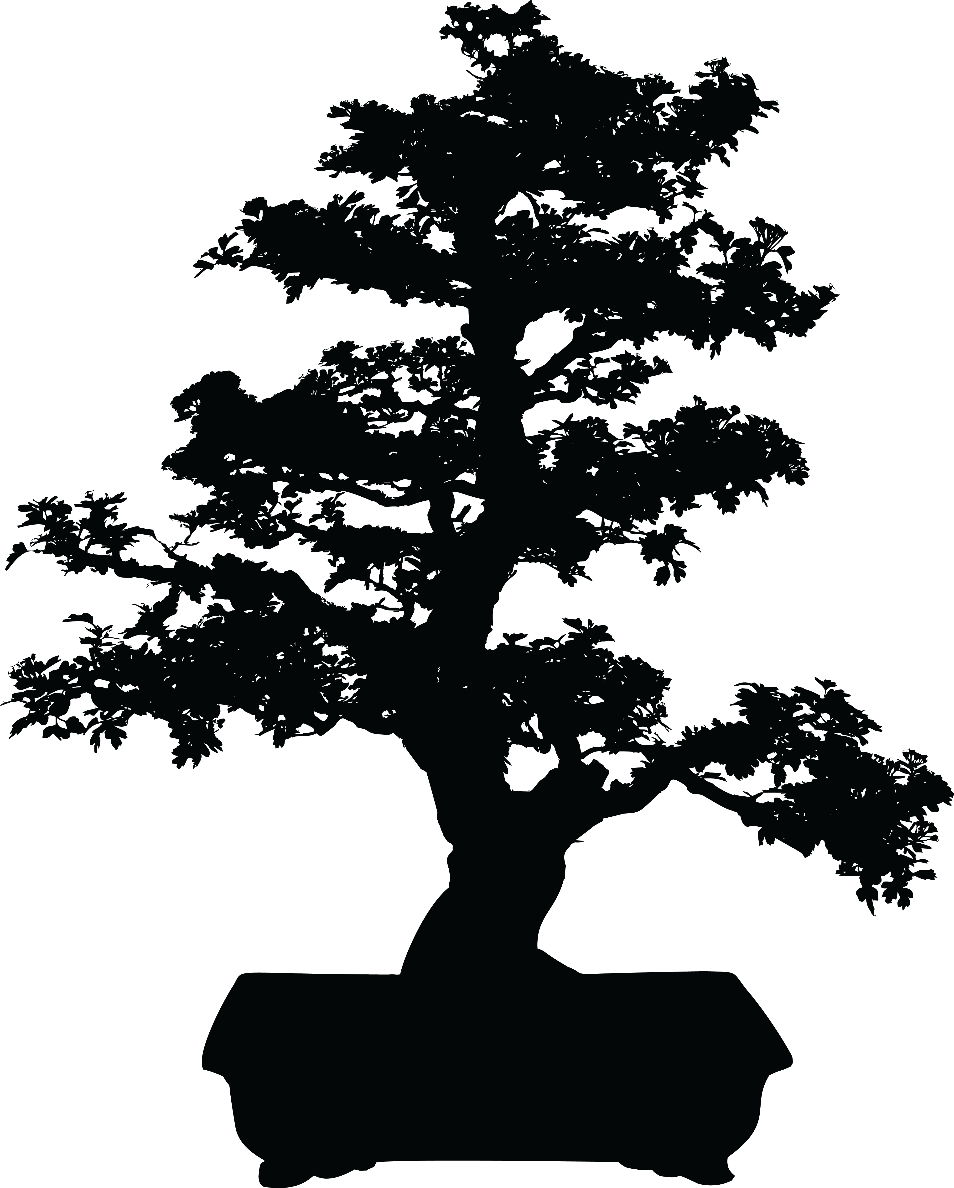 Big Image - Bonsai Clipart (4000x4978)