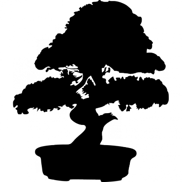 Bonsai (370x370)