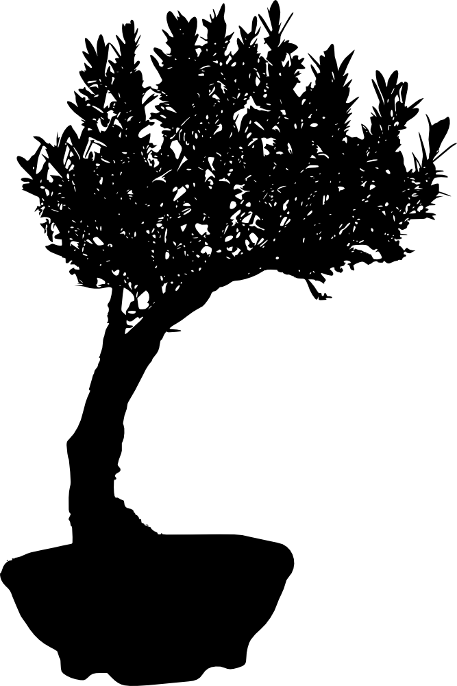 Free Download - Portable Network Graphics (667x1000)