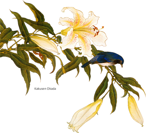 ユリの花 - Lily (467x424)