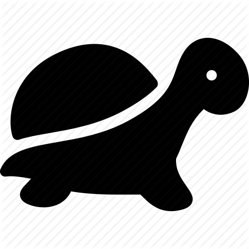 Turtle (512x512)