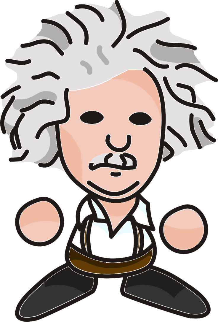Einstein By Tschudies - Einstein By Tschudies (736x1085)