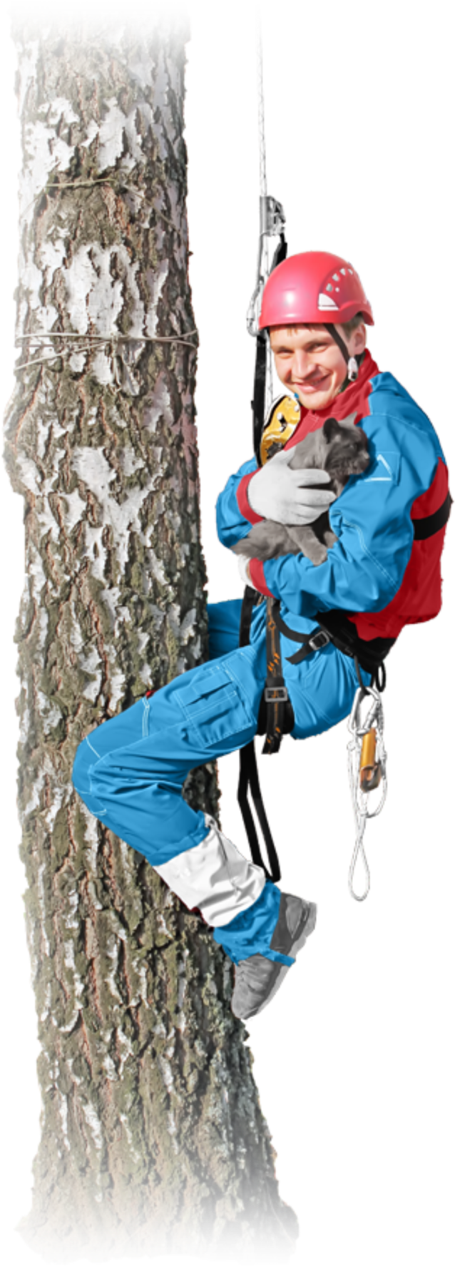 Заявка - Mountaineering (695x1920)