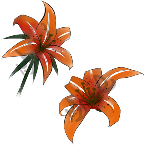 Bromelia (600x600)