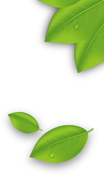 Professionally Clean Your Home Read More - Drop (338x572)