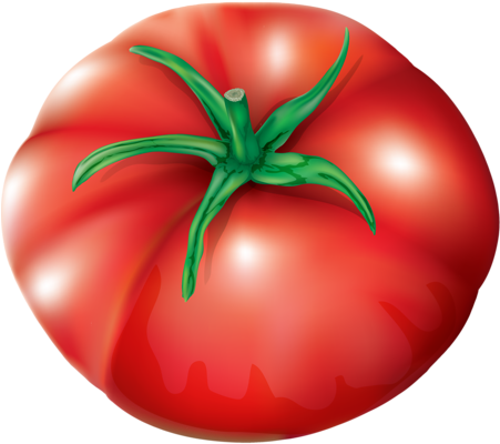 Vegetables Collection1 - Vegetable (463x500)