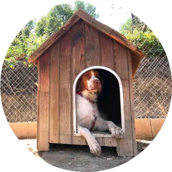 Guarderia - Outhouse (650x650)