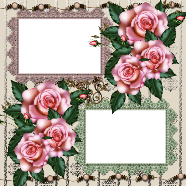 Beach Rose (600x600)