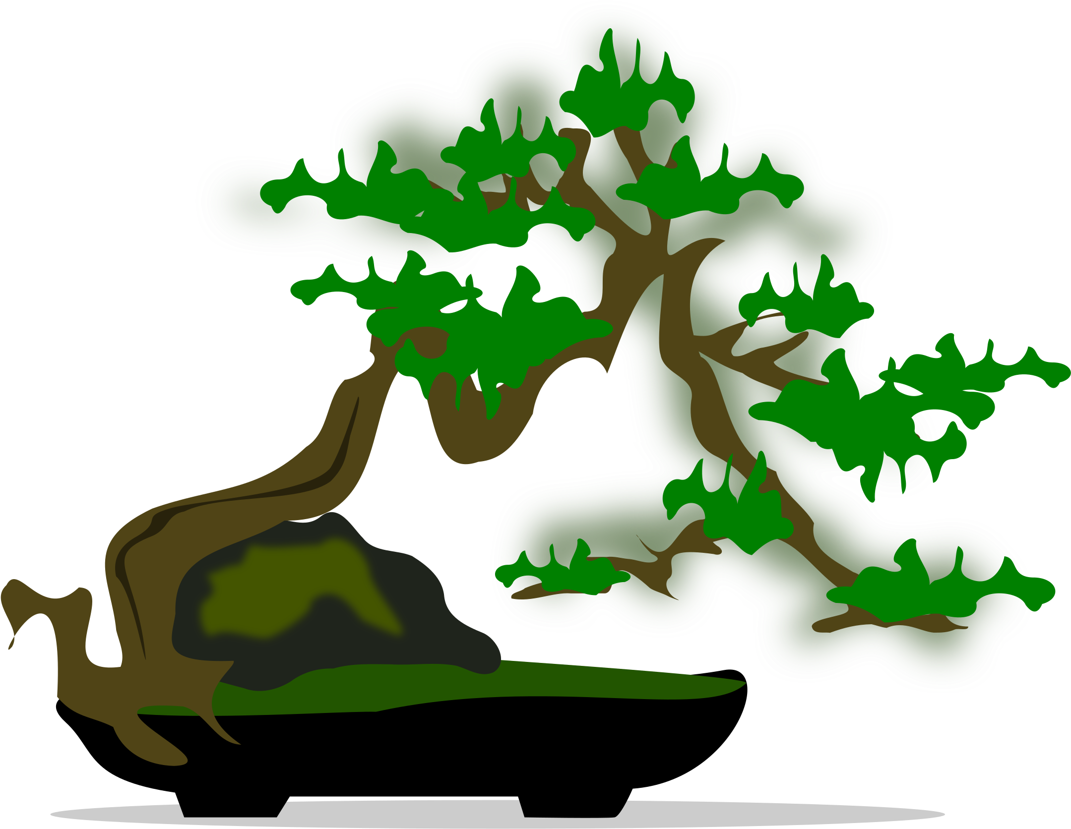 Bonsai-05 - Bonsai (2400x2400)