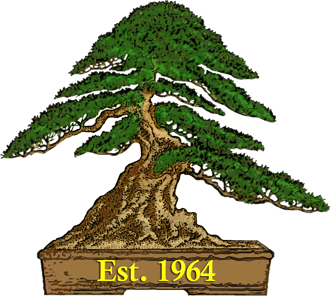 Bonsailogodate - Australian Bonsai (1129x1016)