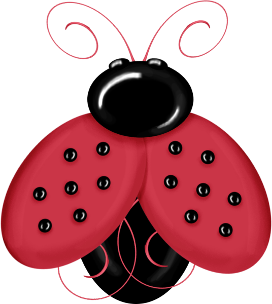 Album - Ladybug (536x600)