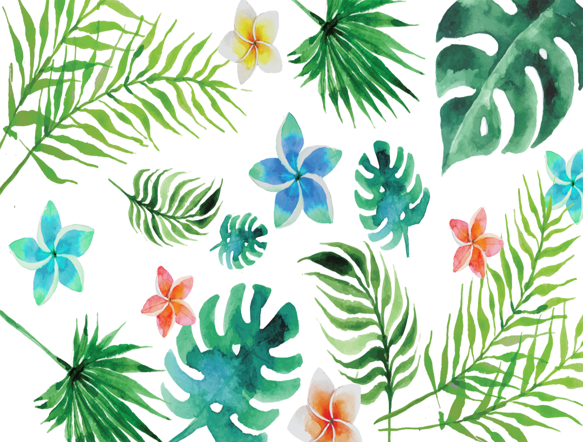 Summer Leaves - Summer Leaves (2000x1516)