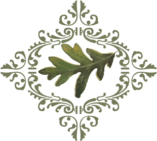 Leaf Flourish - Catering (519x346)