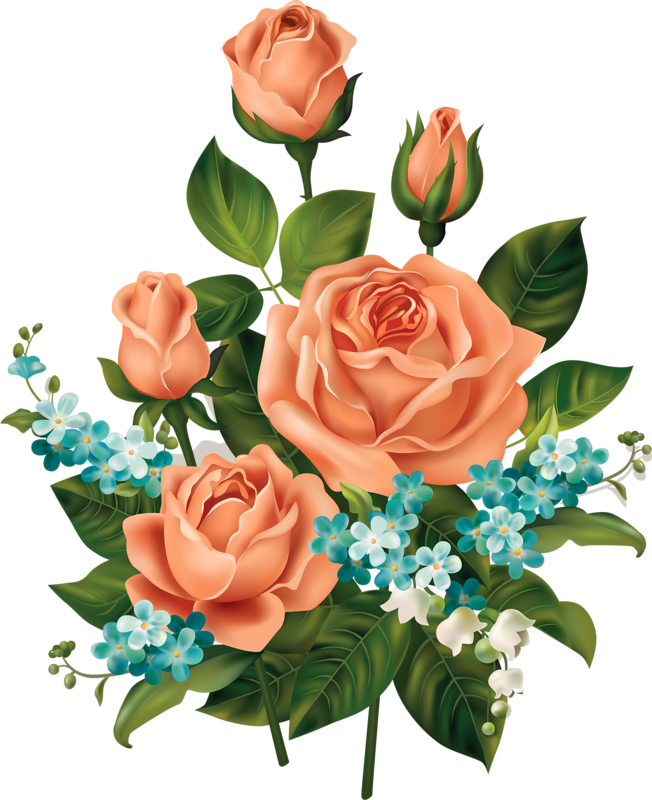 Яндекс - Фотки - Clip Art Roses (652x800)