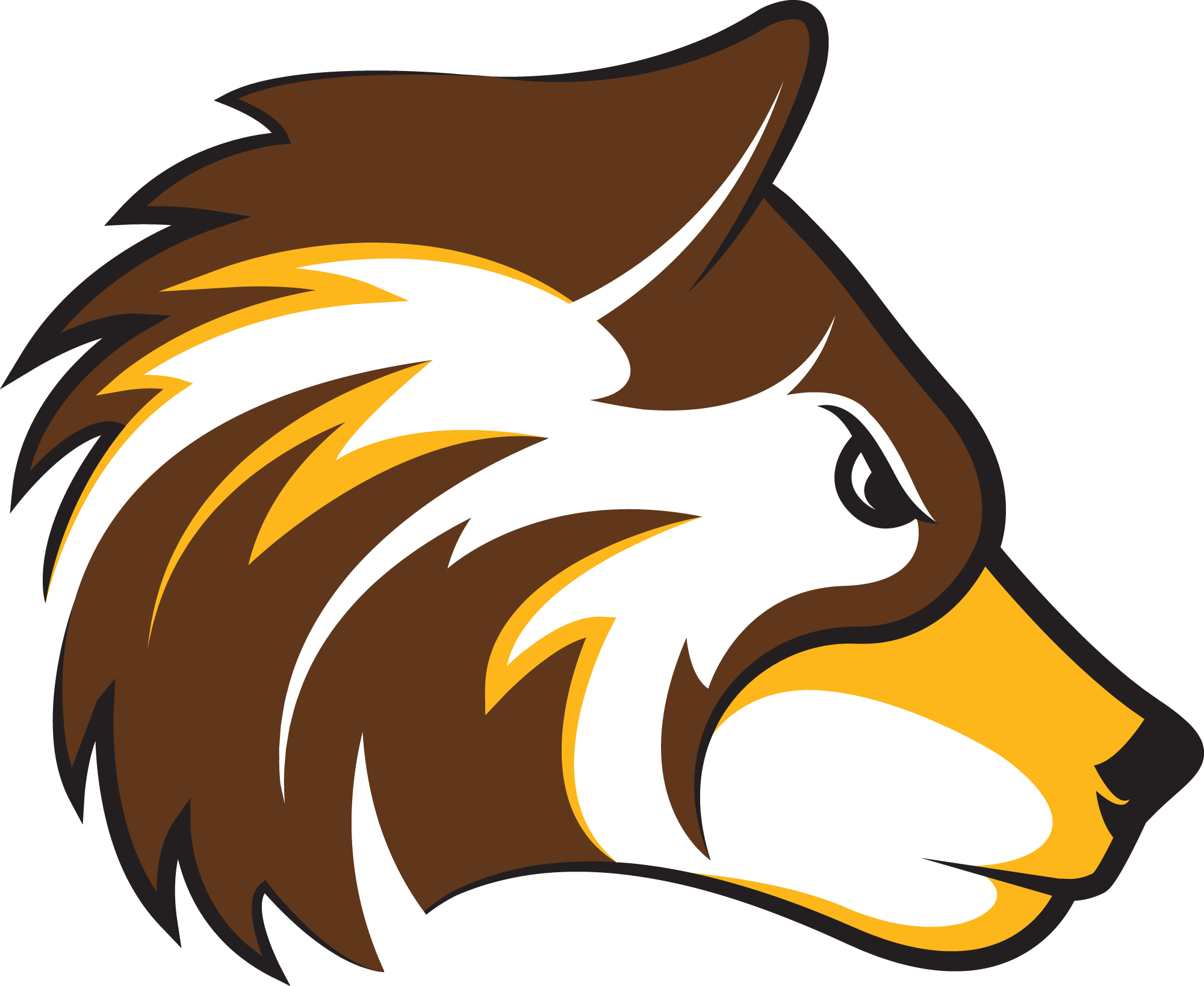 Surprise Elementary Mascot - Surprise Elementary School Mascot (2000x1638)