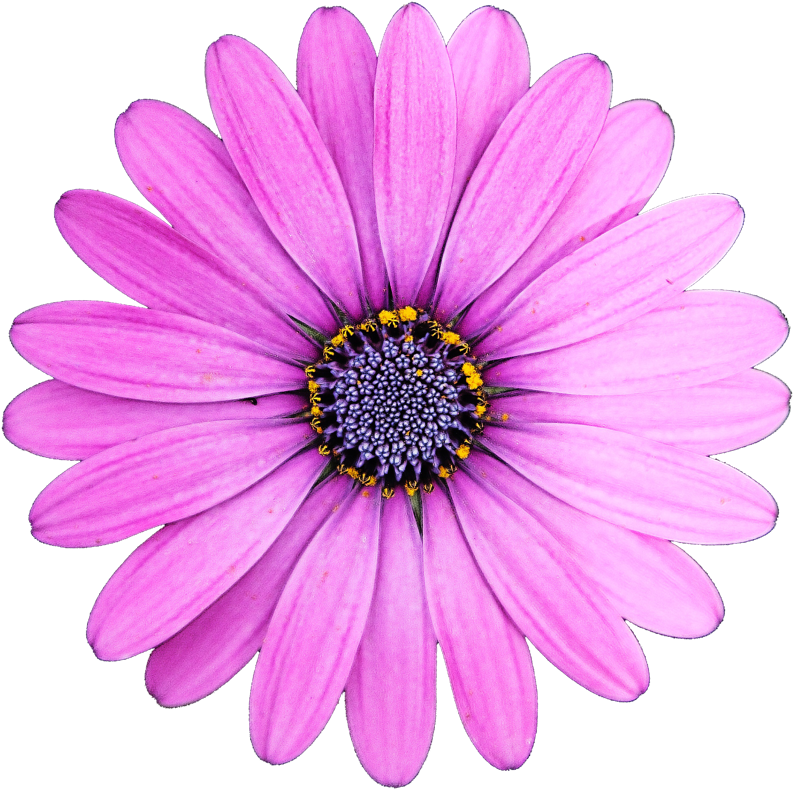 Image Is Not Available - Image Is Not Available (800x800)