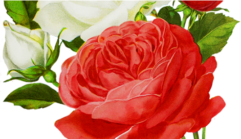 Drawing (480x272)