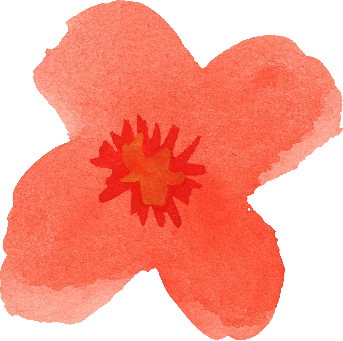 Free Download - Hibiscus (687x682)