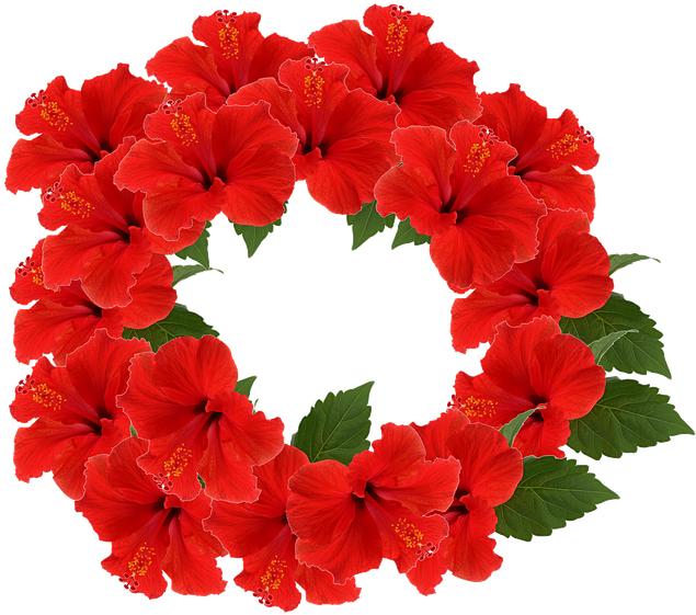 Transparent Flower Crown Red - Flower (720x720)