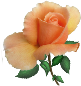 Parent Directory - Garden Roses (400x400)