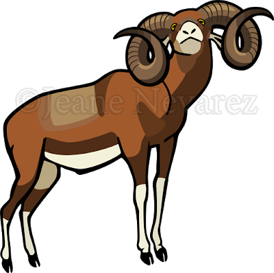 Mouflon - Mouflon Vector (400x398)