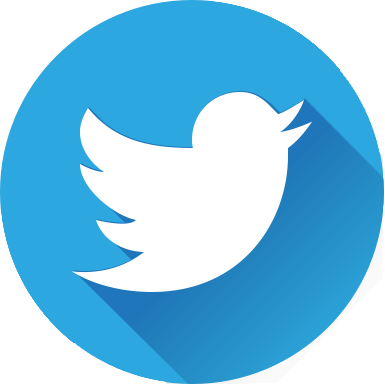 Twitter Button Transparent (385x387)