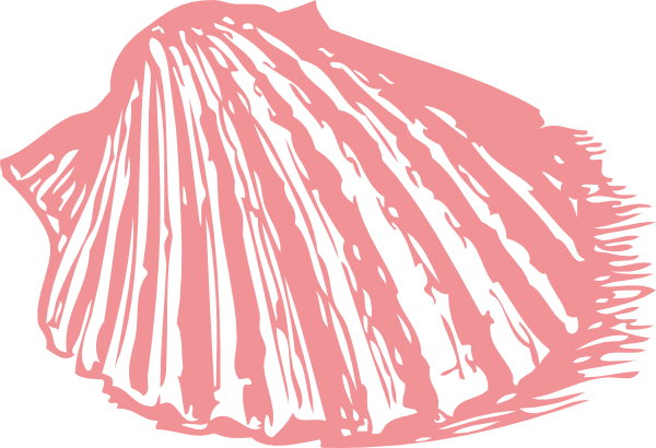 Shell Clipart Coral - Shell Clip Art (600x410)