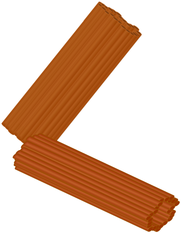 Centriole Pair - Chistorra (636x804)