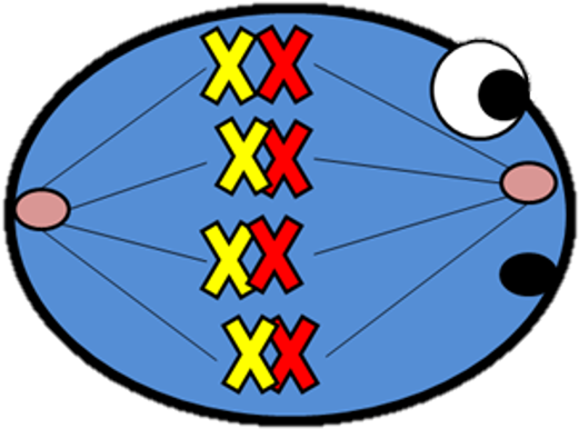 Picture - Circle (628x446)
