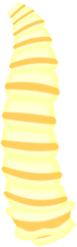Larva (346x984)