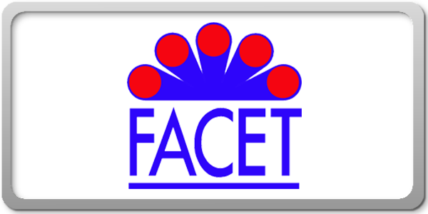 Facet (600x300)