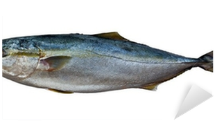 European Pollock (400x400)