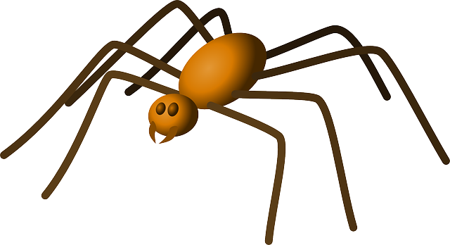Spiders - Daddy Long Legs Clipart (640x348)