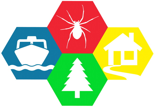 Emblem (656x455)
