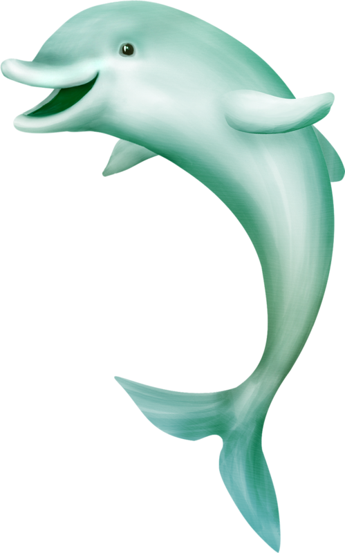 Яндекс - Фотки - Dolphin Clipart Mouth (499x800)