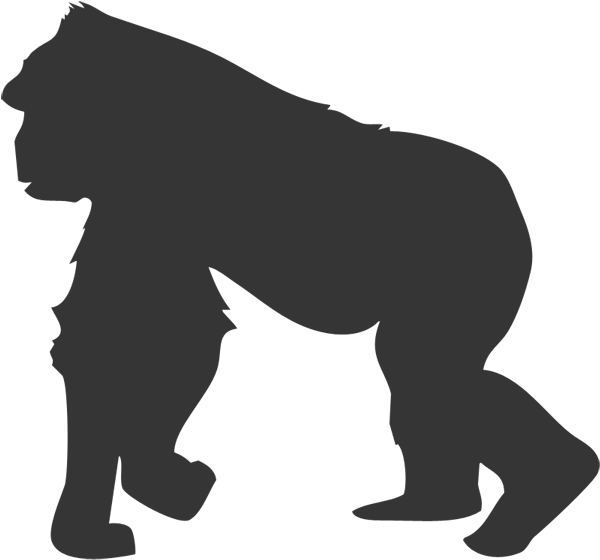 The Gorilla - The Gorilla (600x600)