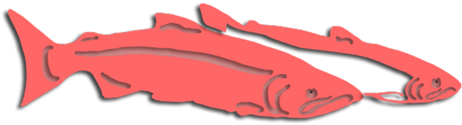 Keep Up To Date With What Is Going On - Puma (675x208)