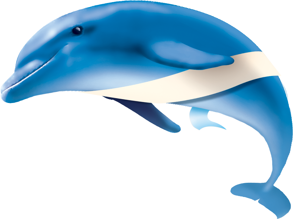 Dolphin Website - Dolphin - Dolphin Website - Dolphin (1300x1000)