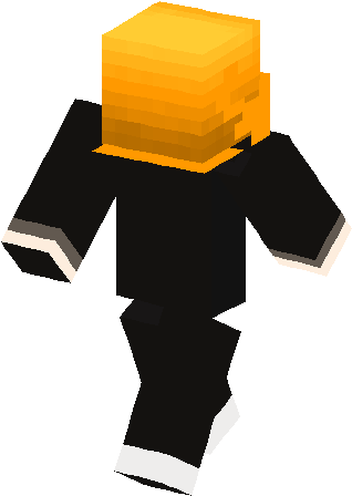 Installation - Minecraft Brown Cat Skin (317x456)