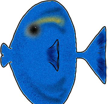 Coral Reef Fish (768x404)