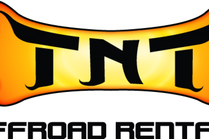 Business Description - Tnt (717x478)