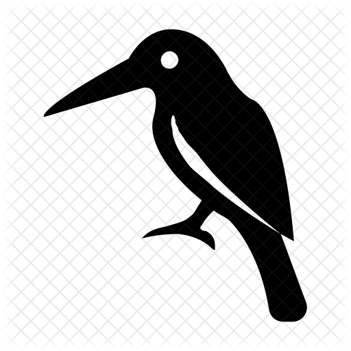 Bird Icon - Killer Whale (512x512)
