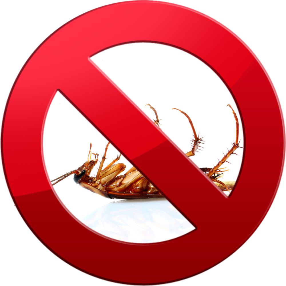 Cockroachcontrol - Cucaracha Muerta Patas Arriba (1000x999)