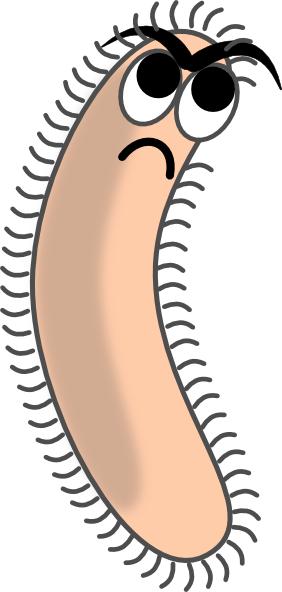 Bacterial Competition (282x592)