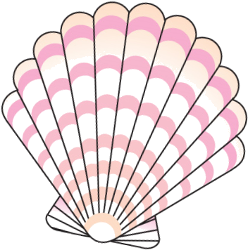 Event Navigation - « - Clip Art Clam Shell (412x409)