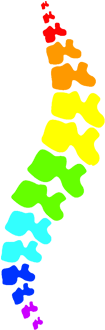 Services Scoliopilates - Боль В Спине И Позвоночнике (380x369)