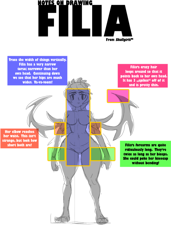 Notes On Drawing Filia By Mr-wolfe - Cartoon (570x747)