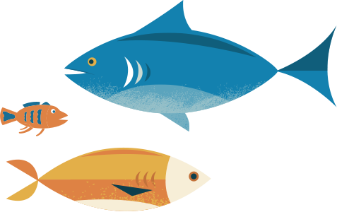 Pirate Ipsum - Coral Reef Fish (477x300)