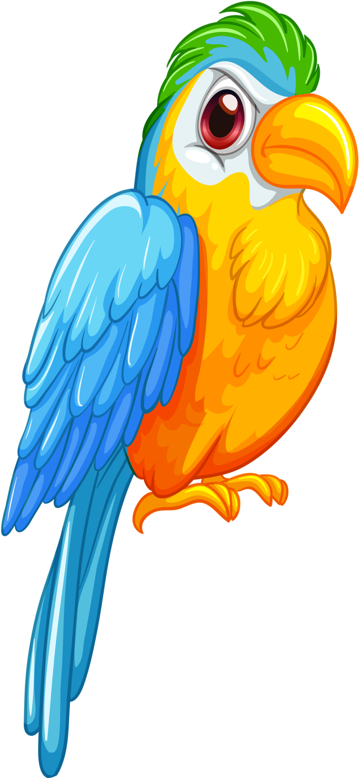 Album - P For Parrot (747x1600)